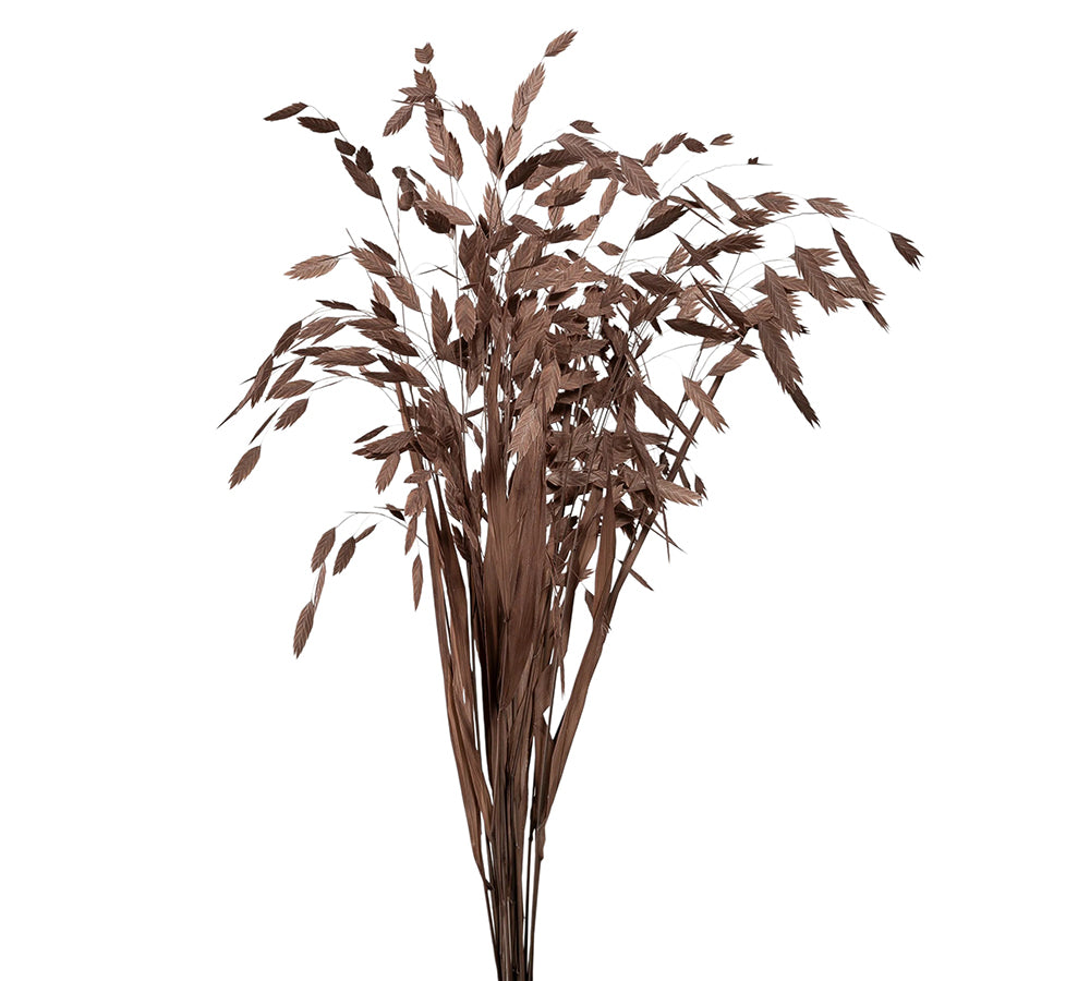 Chasmantium Colorato Naturale Stabilizzata Decorazione Composizione Floreale