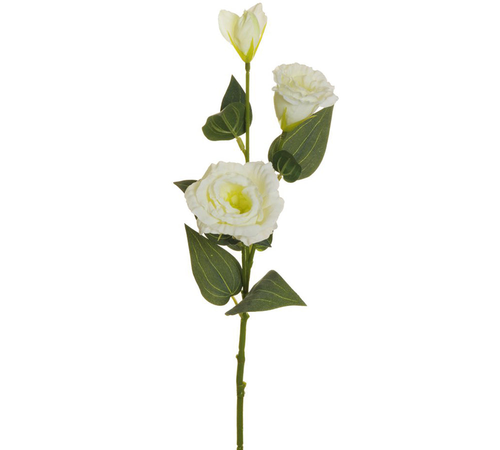 Lisianthus 2 Fiori 1 Bocciolo 71 Cm Fiori Artificiali Decorazione Composizione Bianco Crema