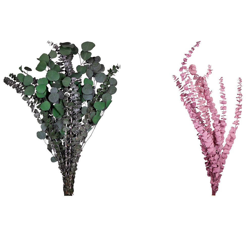 Eucaliptus Baby Blu Stabilizzata Colorata Decorazioni Composizione Floreale