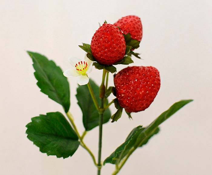 12 Rametti Da 3 Fragole Con Fiore Da 25 Cm