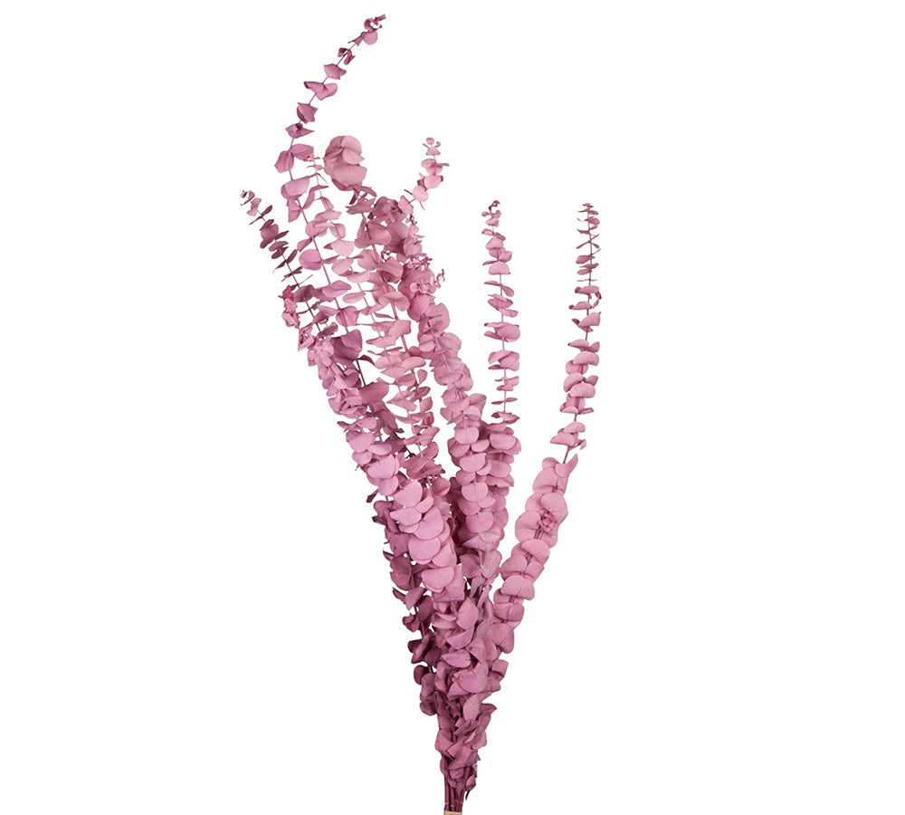 Eucaliptus Baby Blu Stabilizzata Colorata Decorazioni Composizione Floreale