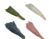 Mini Pamaps Gr 100 Naturale Colorata Stabilizzata Composizione Floreale Addobbi
